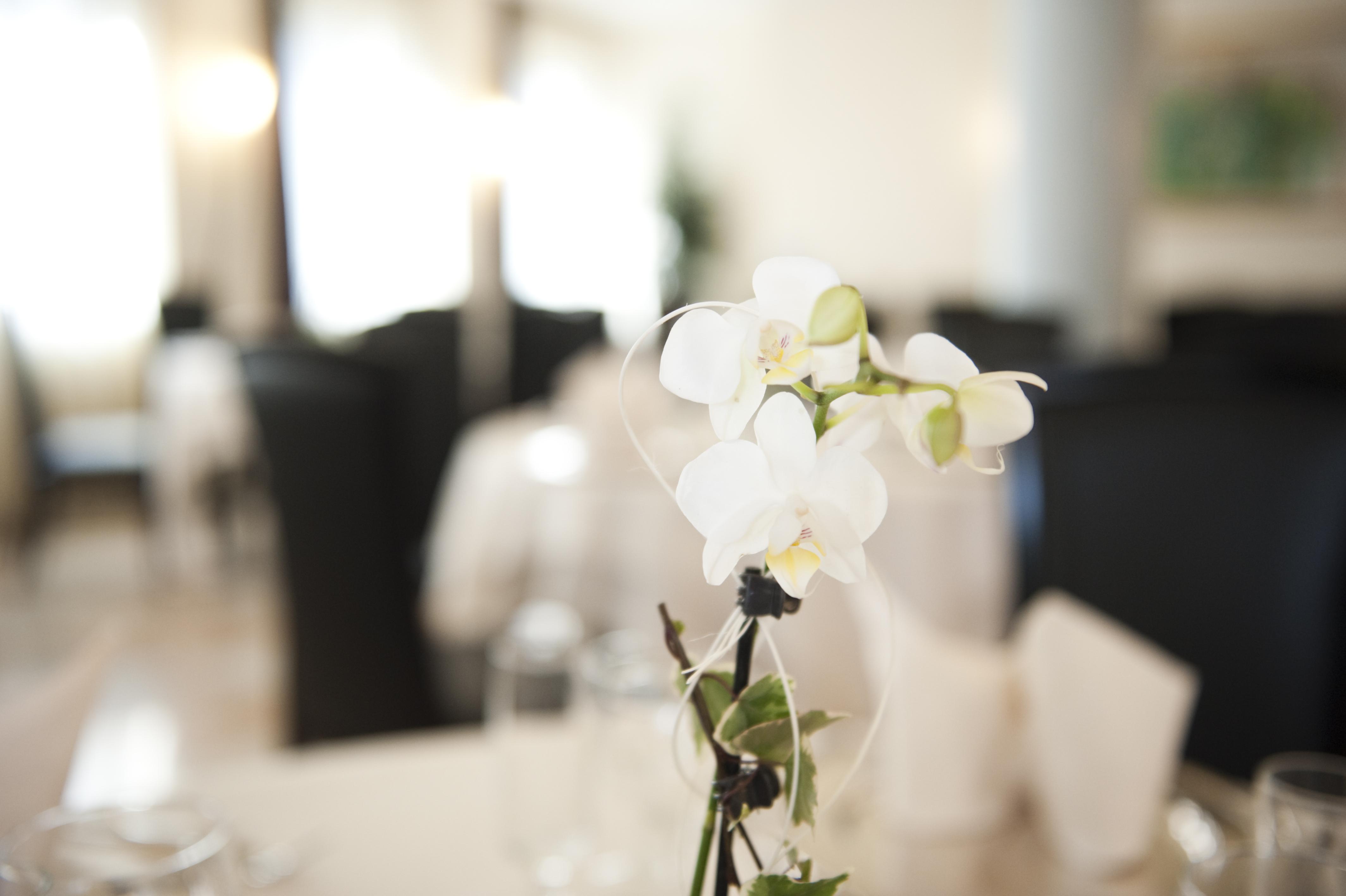 Hotel Palace Verona Luaran gambar